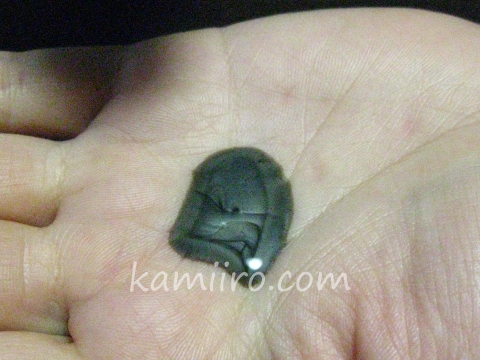CA101薬用ブラックシャンプーを手のひらに出した写真