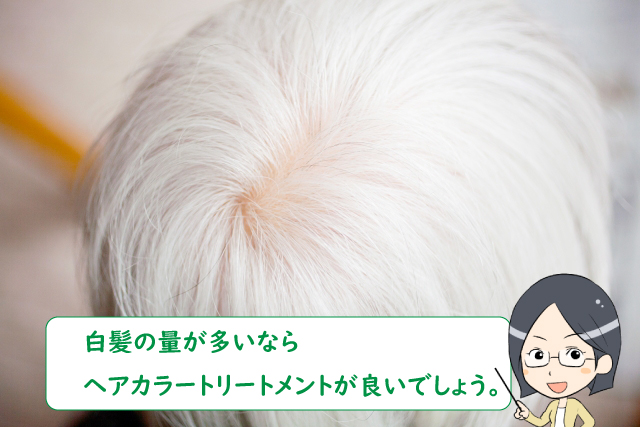 白髪の量が多いならヘアカラートリートメントが良いでしょう。