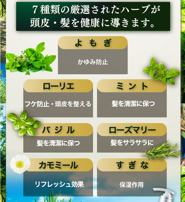7種類の厳選されたハーブが頭皮・髪を健康に導きます。よもぎ・ローリエ・ミント・バジル・ローズマリー・カモミール・すぎな