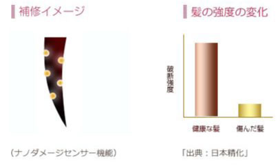 髪を内部から補修するイメージイラストと髪の高度の変化グラフ