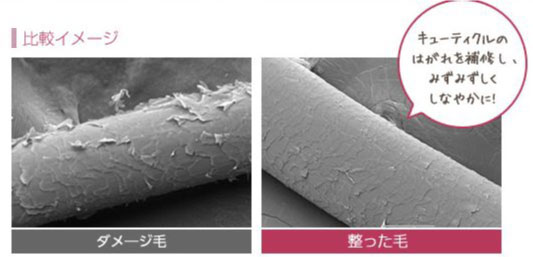ダメージ毛と整った毛の比較イメージ