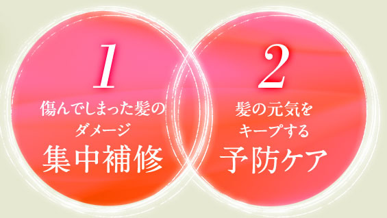 傷んでしまった髪のダメージ集中補修・髪の元気をキープする予防ケア
