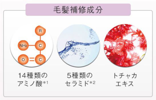 毛髪補修成分「14種のアミノ酸、5種のセラミド、トチャカエキス」
