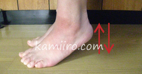 つま先立ちで上下する
