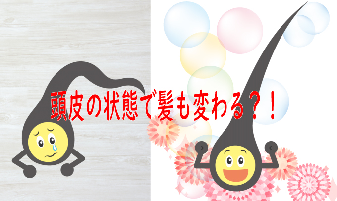 頭皮の状態で髪も変わる?!