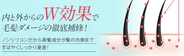 内と外からのW効果で毛髪ダメージの徹底補修