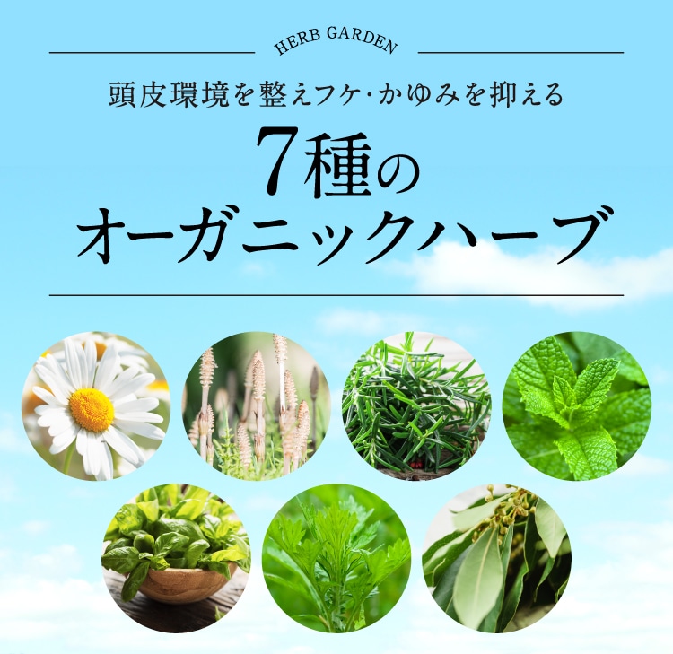 頭皮環境を整えフケ・かゆみを抑える7種類のオーガニックハーブ