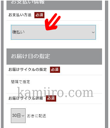 ナンバーロッカン公式ページのお客様情報入力欄「支払方法」の選択欄キャプチャ画像